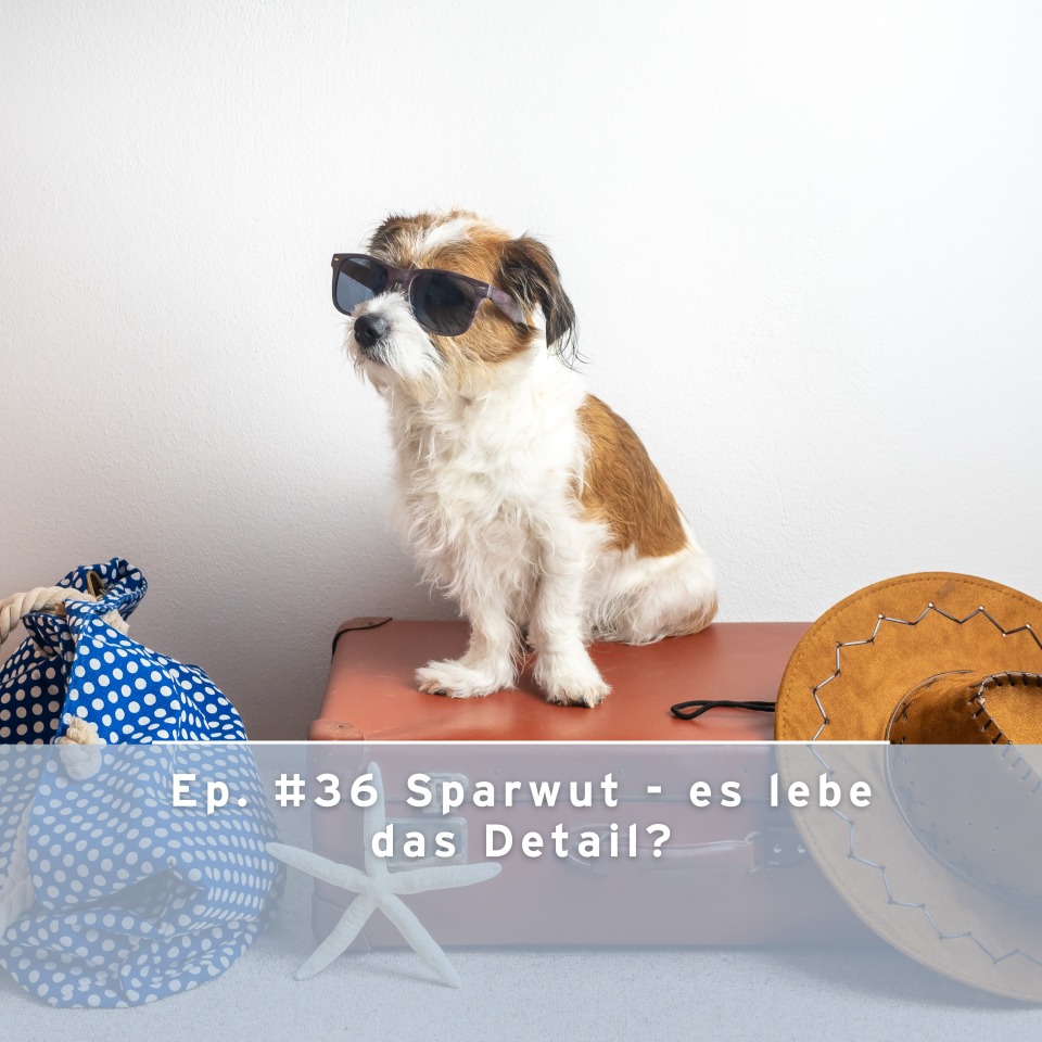 Wieviel kostet uns die Sparwut wirklich