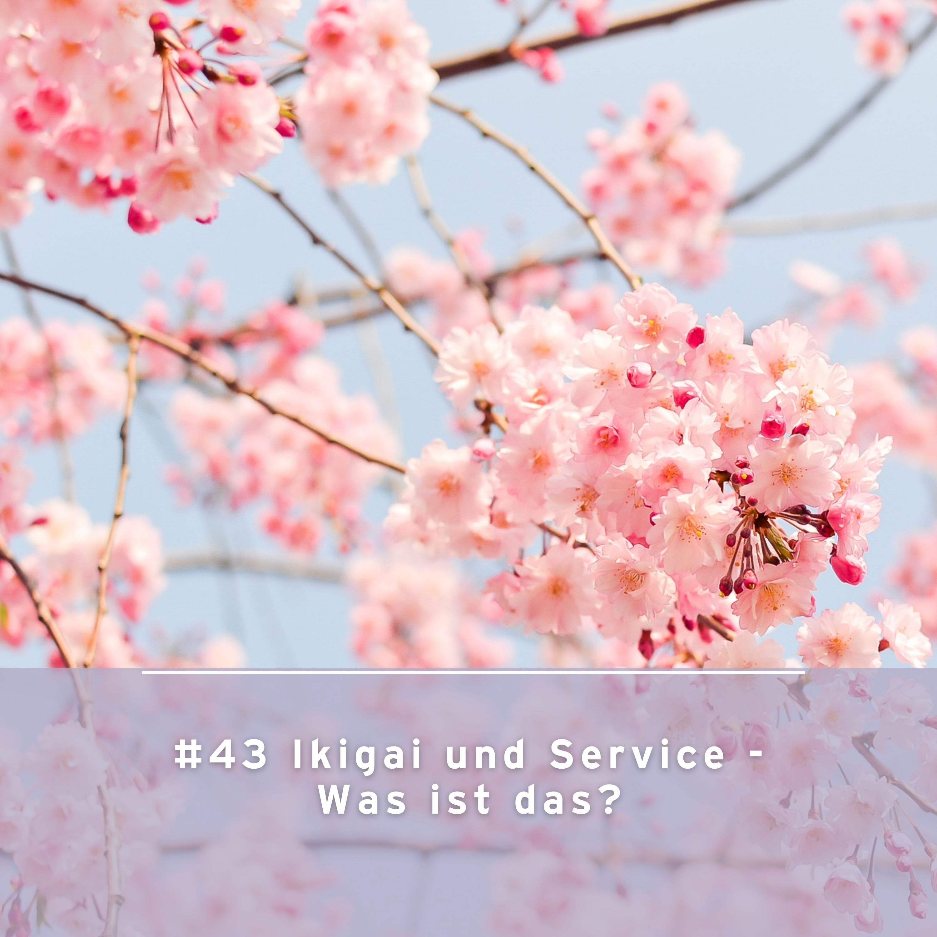 Ikigai und Service