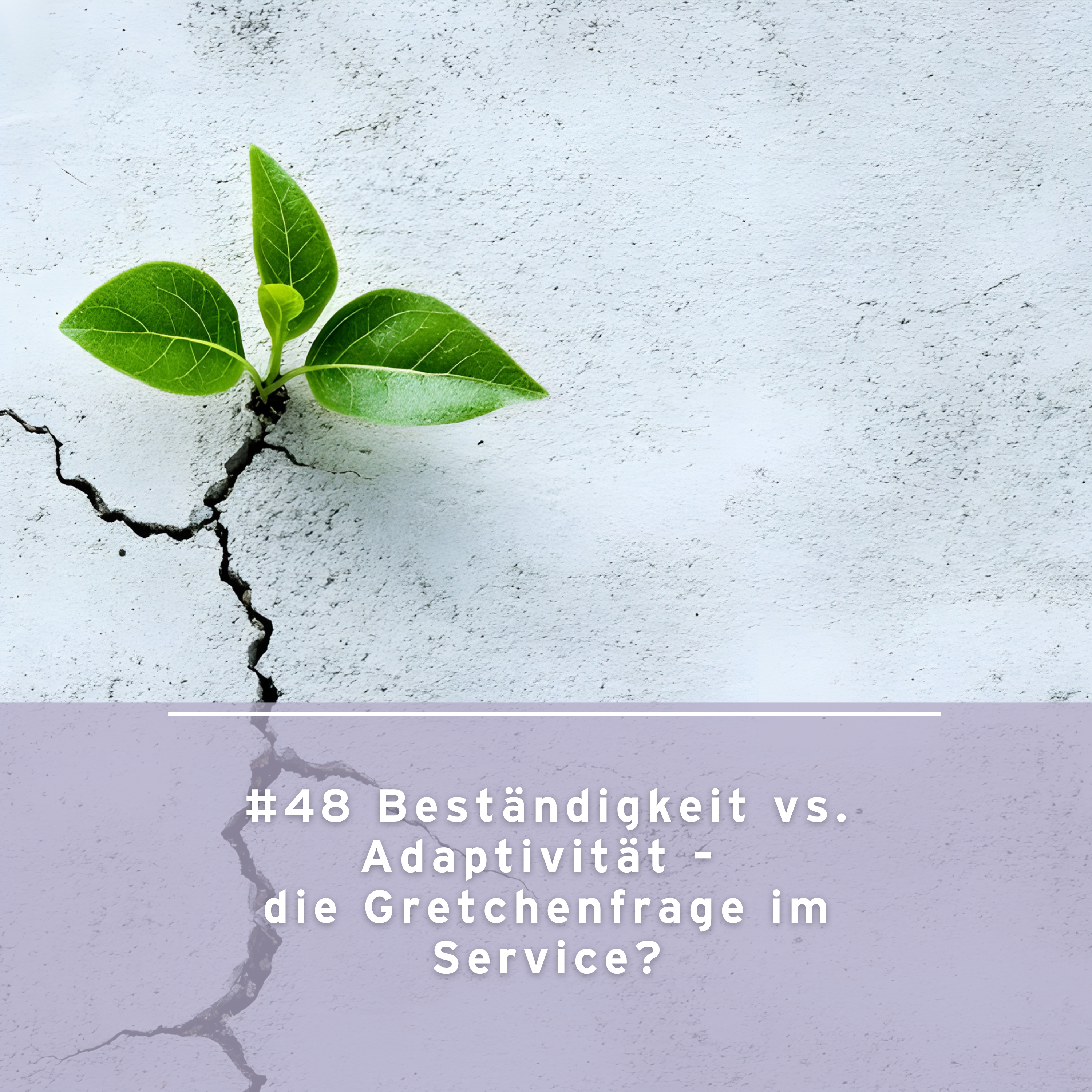 Beständigkeit vs Adaptivität